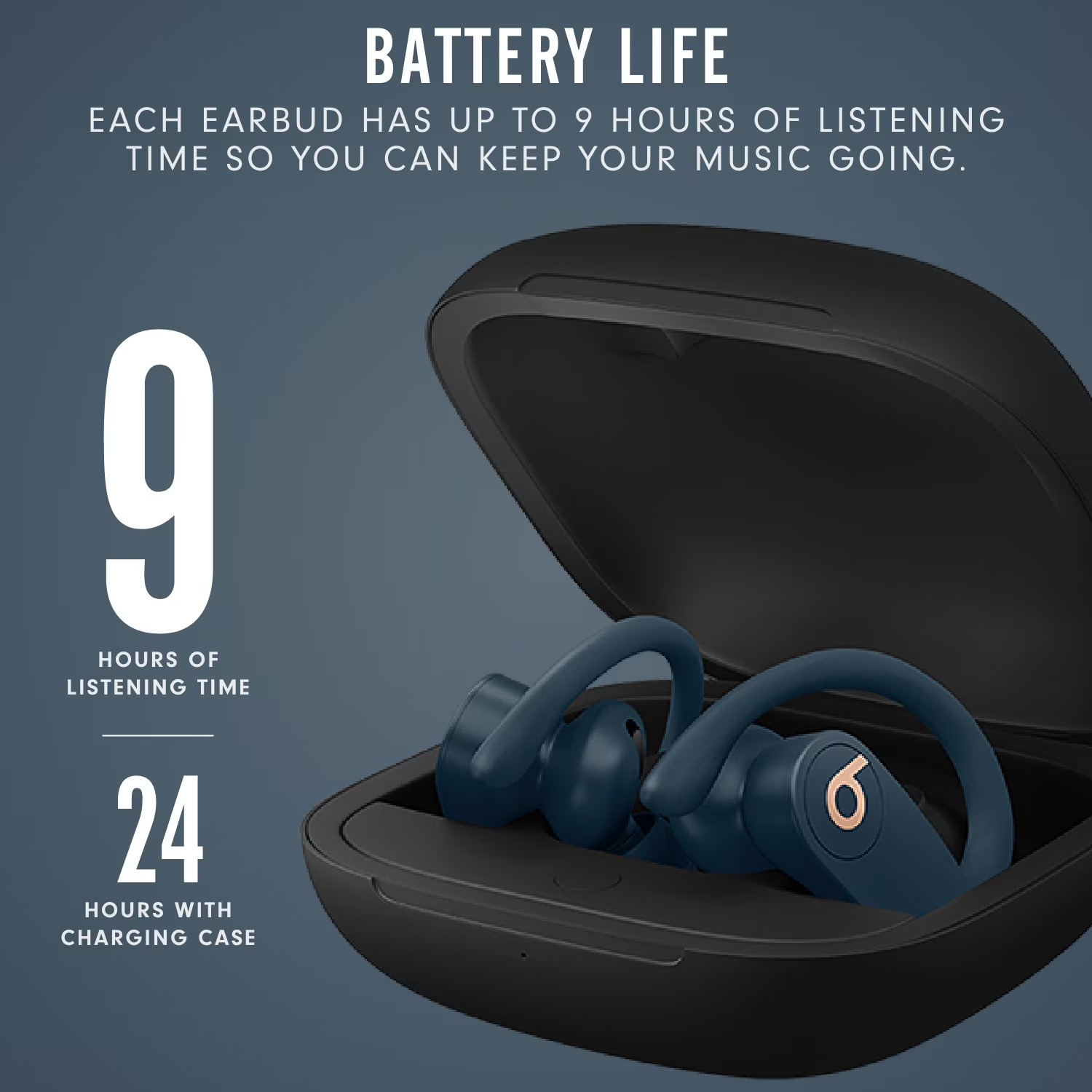 Beats Powerbeats Pro True Wire - огляд і ціна Beats Headphone Powerbeats Pro