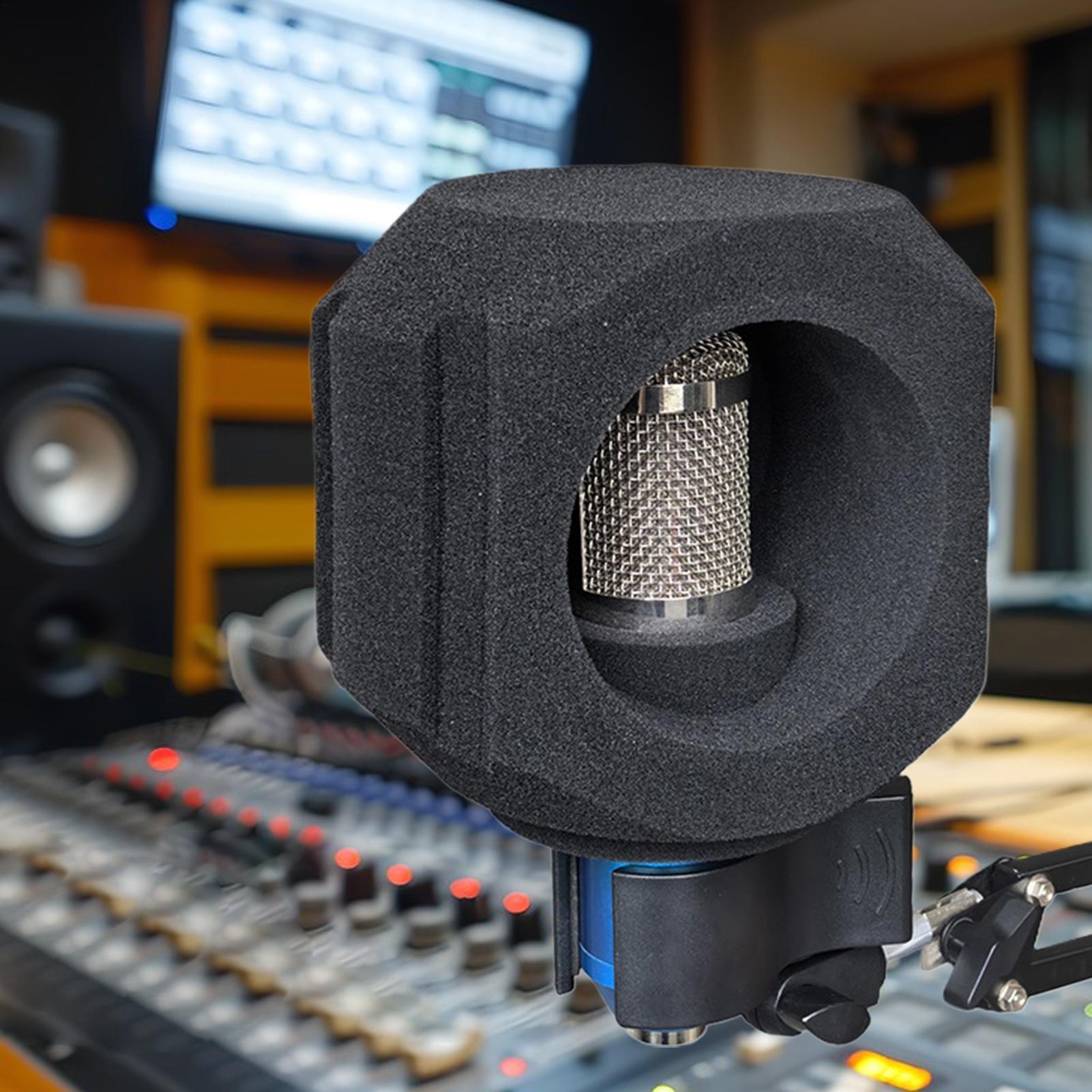 Microphone Isolation Ball Nois - огляд і ціна Shure Mic Sm58